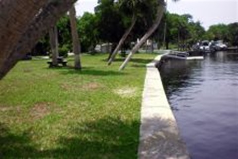 River with green grass and trees